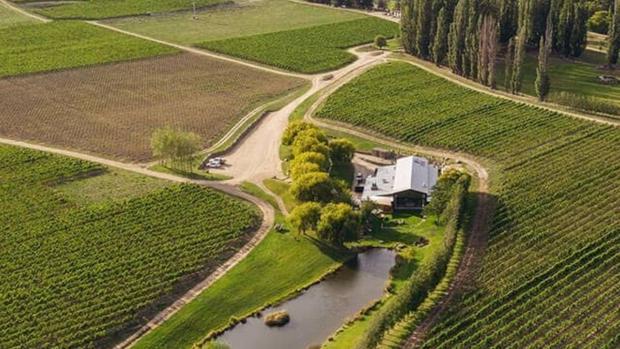 Cloudy Bay Vineyards - Image 1